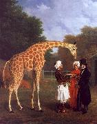 Jacques-Laurent Agasse The Nubian Giraffe oil on canvas